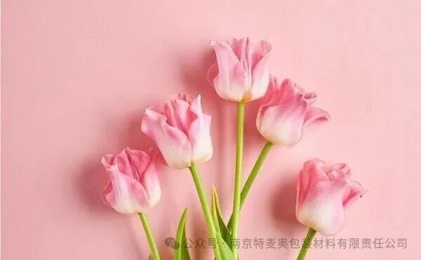 洗净铅华，留香于心——南京特麦奥包装材料有限责任公司2026年女神节特别献礼